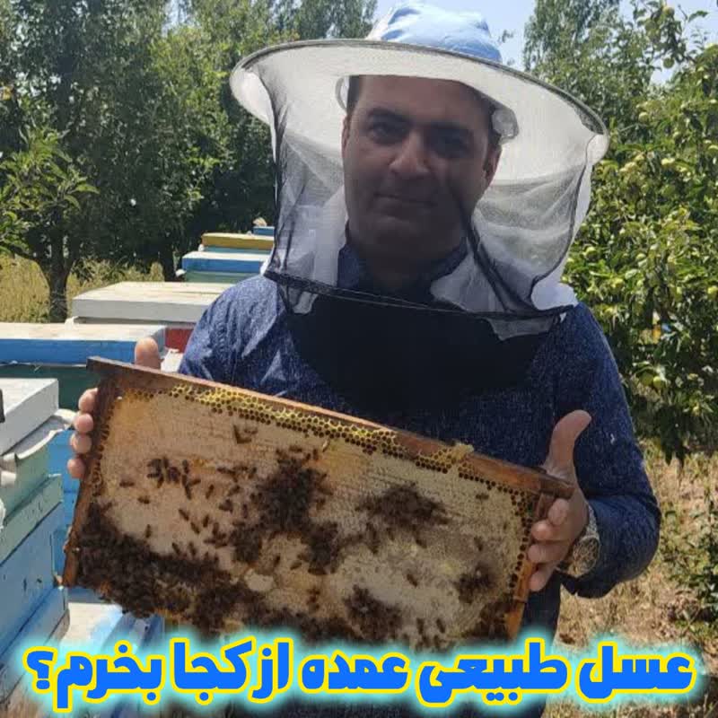 عسل طبیعی عمده