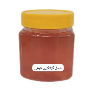 عسل گزانگبین نیم کیلویی